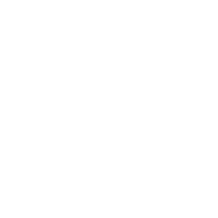Logo S-USI II